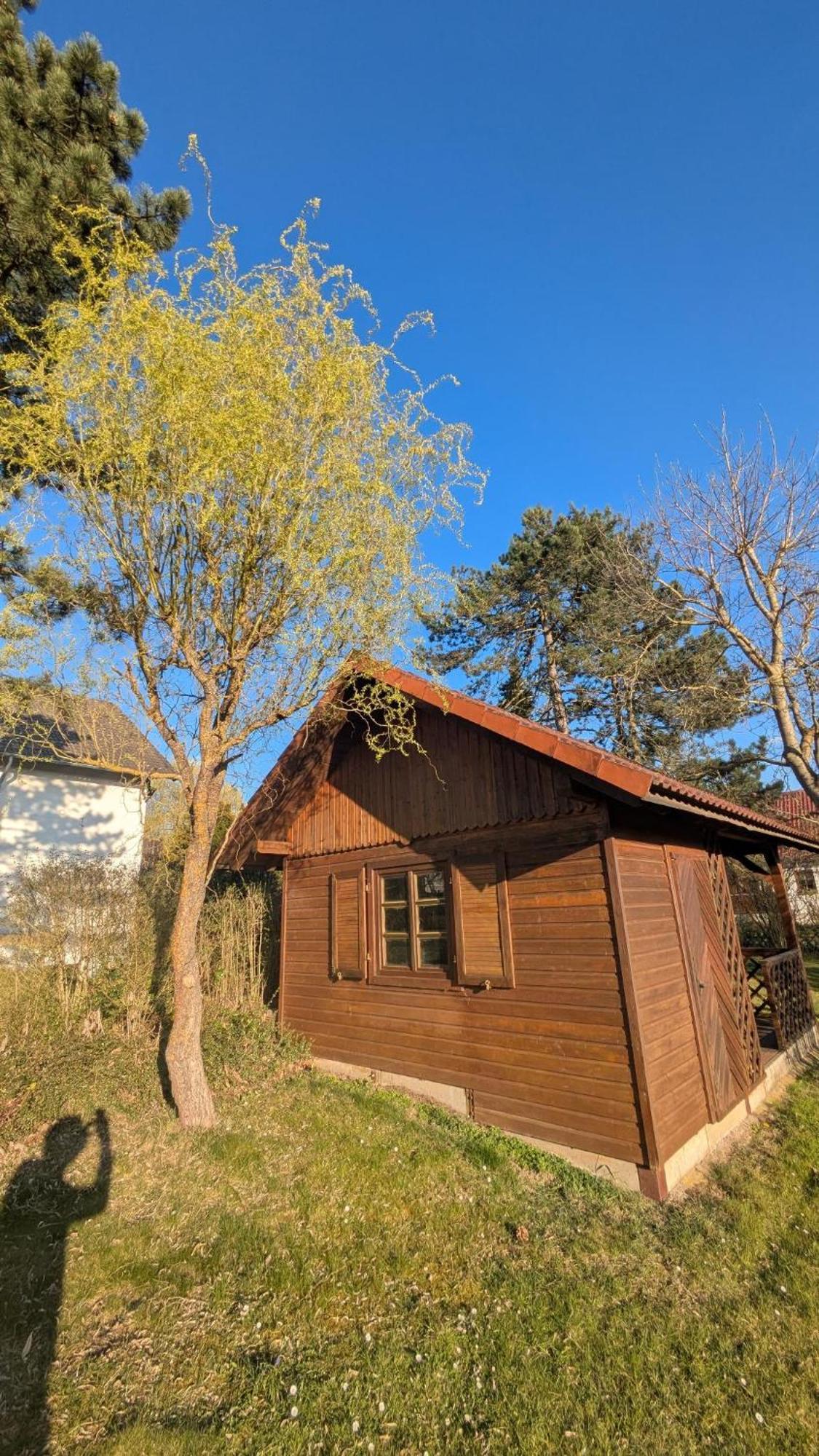 Landhotel Sonneneck - Breuna Im Naturpark Esterno foto